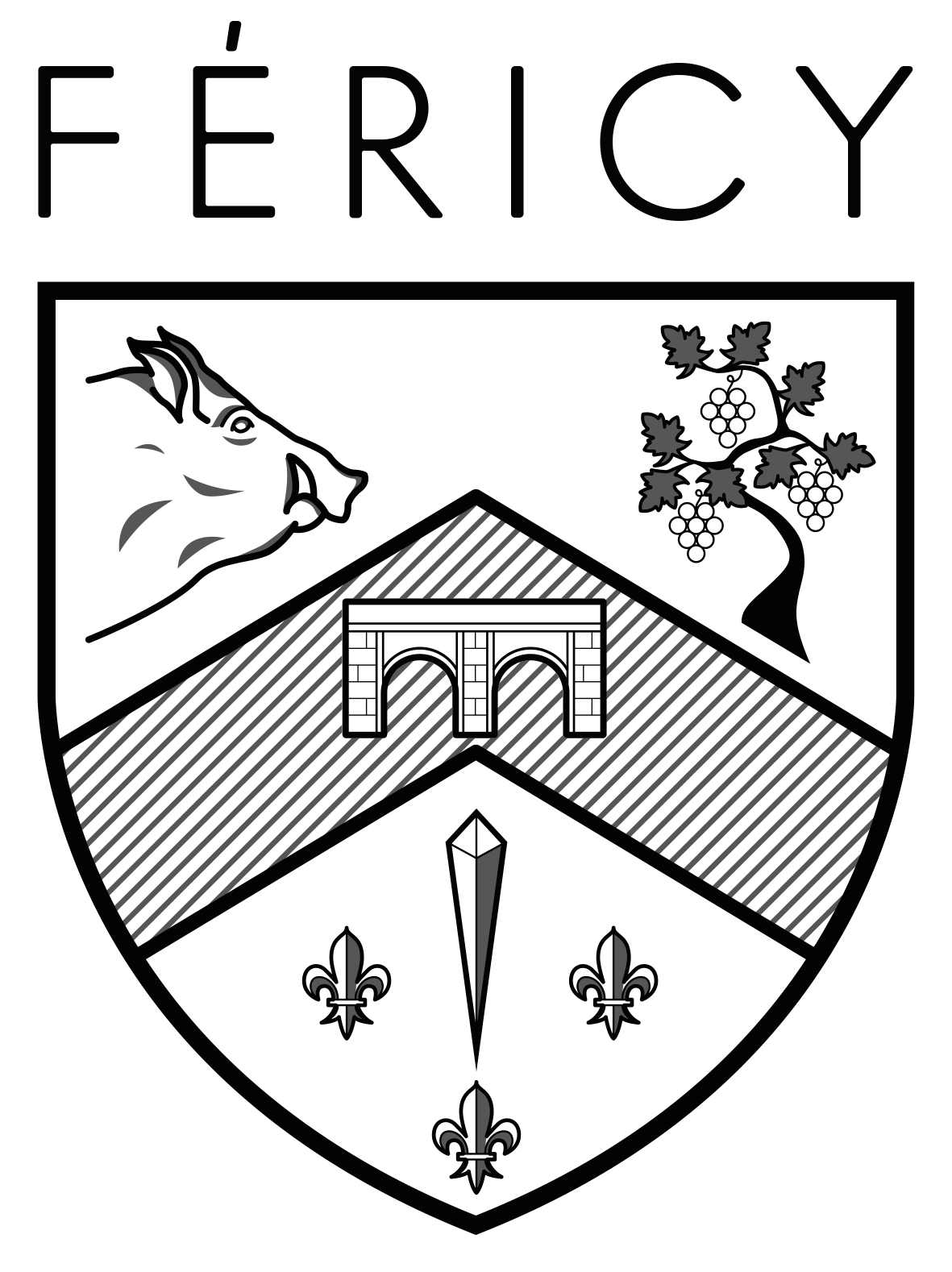 Désembouage Féricy