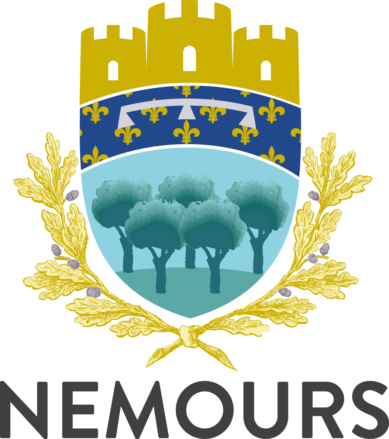 Désembouage à Melun